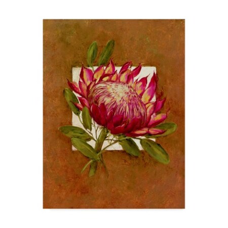 Trademark Fine Art